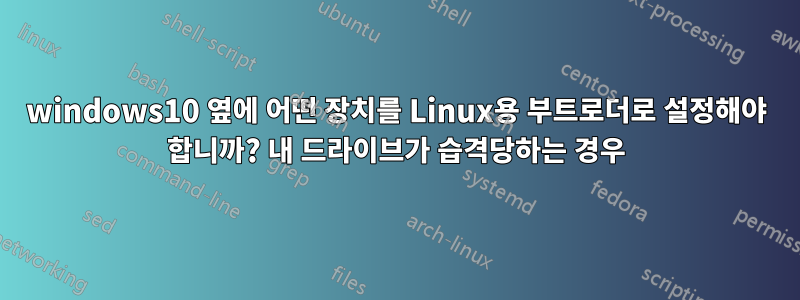 windows10 옆에 어떤 장치를 Linux용 부트로더로 설정해야 합니까? 내 드라이브가 습격당하는 경우