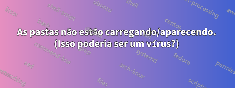 As pastas não estão carregando/aparecendo. (Isso poderia ser um vírus?)