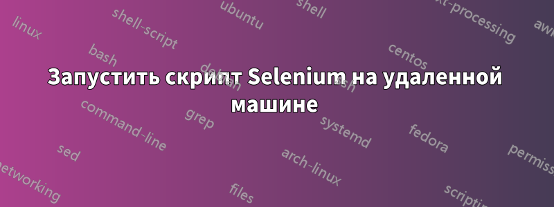 Запустить скрипт Selenium на удаленной машине