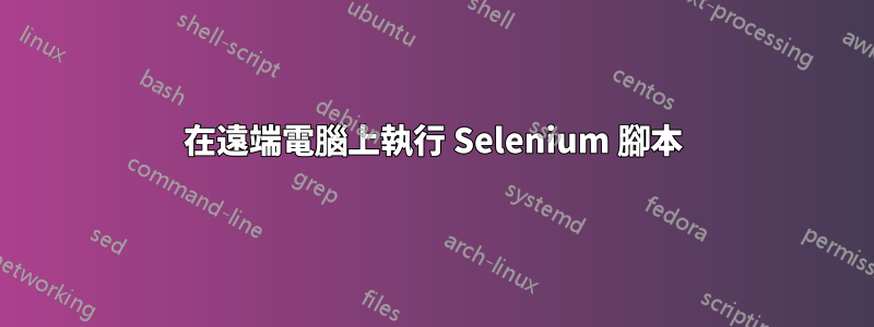 在遠端電腦上執行 Selenium 腳本