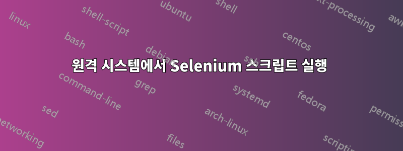 원격 시스템에서 Selenium 스크립트 실행