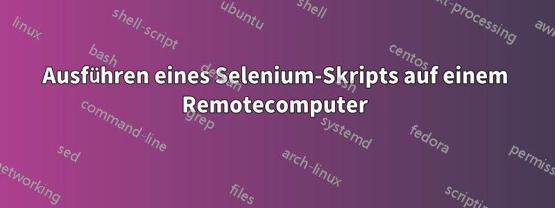 Ausführen eines Selenium-Skripts auf einem Remotecomputer