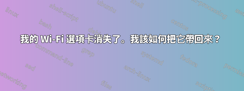 我的 Wi-Fi 選項卡消失了。我該如何把它帶回來？