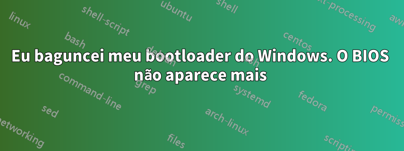 Eu baguncei meu bootloader do Windows. O BIOS não aparece mais