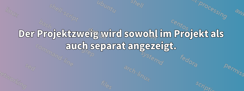 Der Projektzweig wird sowohl im Projekt als auch separat angezeigt.