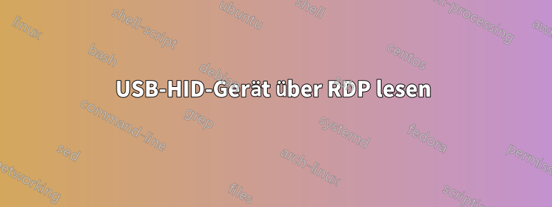 USB-HID-Gerät über RDP lesen