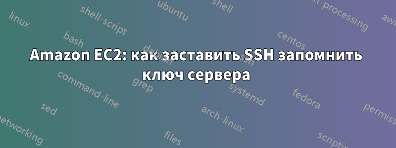 Amazon EC2: как заставить SSH запомнить ключ сервера