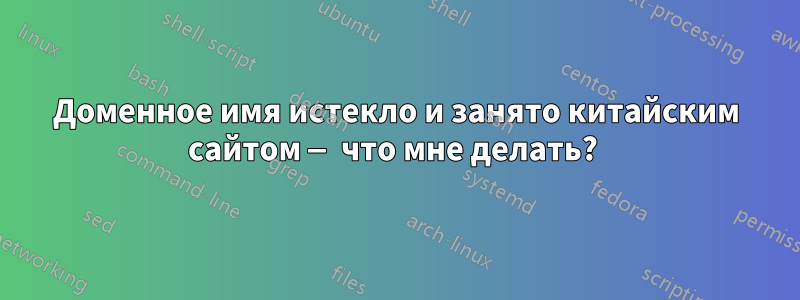 Доменное имя истекло и занято китайским сайтом — что мне делать? 