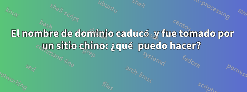 El nombre de dominio caducó y fue tomado por un sitio chino: ¿qué puedo hacer? 