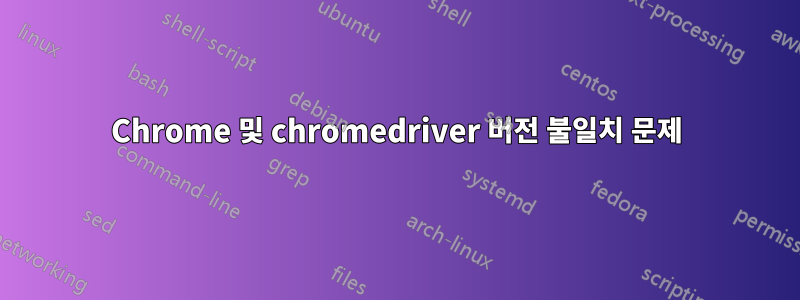 Chrome 및 chromedriver 버전 불일치 문제