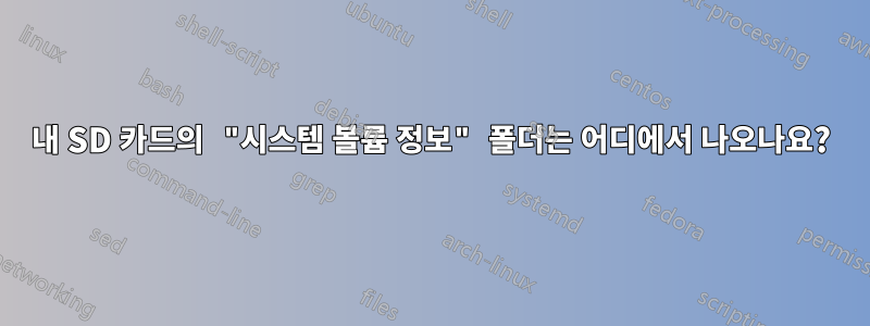 내 SD 카드의 "시스템 볼륨 정보" 폴더는 어디에서 나오나요?