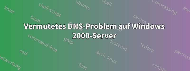 Vermutetes DNS-Problem auf Windows 2000-Server