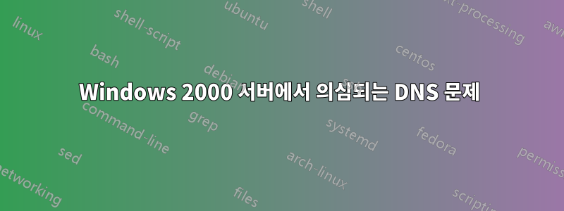 Windows 2000 서버에서 의심되는 DNS 문제