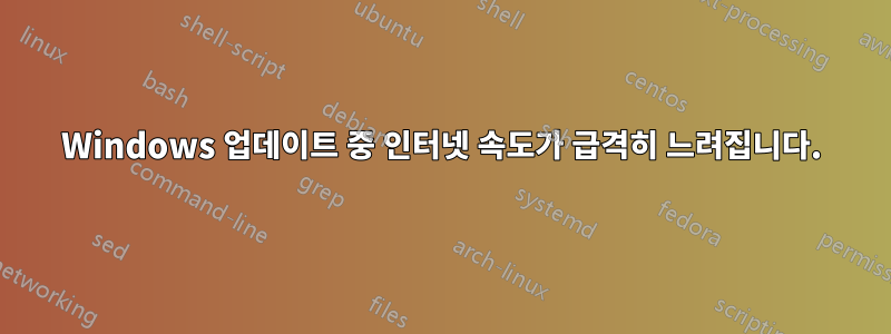 Windows 업데이트 중 인터넷 속도가 급격히 느려집니다.