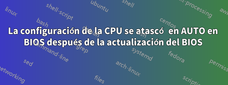 La configuración de la CPU se atascó en AUTO en BIOS después de la actualización del BIOS