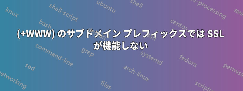 (+WWW) のサブドメイン プレフィックスでは SSL が機能しない