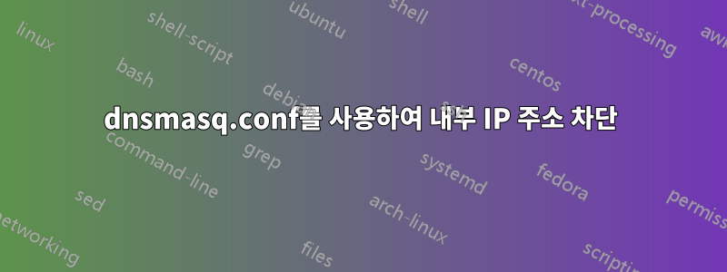 dnsmasq.conf를 사용하여 내부 IP 주소 차단