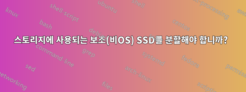 스토리지에 사용되는 보조(비OS) SSD를 분할해야 합니까? 