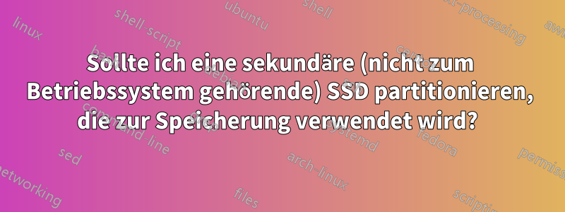 Sollte ich eine sekundäre (nicht zum Betriebssystem gehörende) SSD partitionieren, die zur Speicherung verwendet wird? 