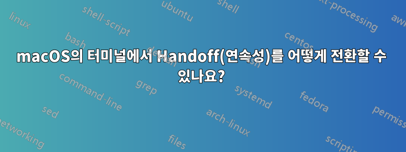 macOS의 터미널에서 Handoff(연속성)를 어떻게 전환할 수 있나요?