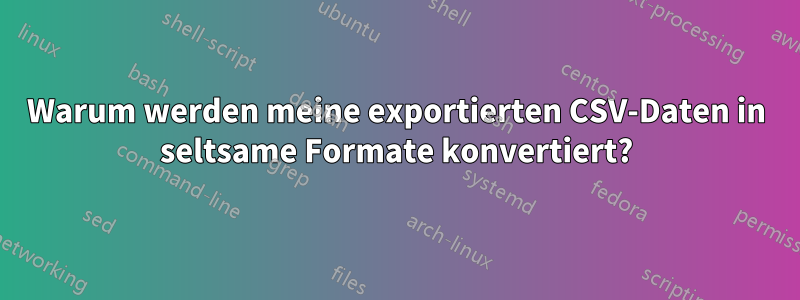 Warum werden meine exportierten CSV-Daten in seltsame Formate konvertiert?