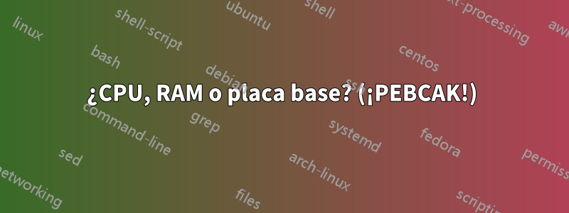 ¿CPU, RAM o placa base? (¡PEBCAK!)