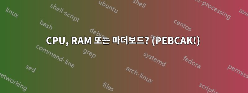 CPU, RAM 또는 마더보드? (PEBCAK!)