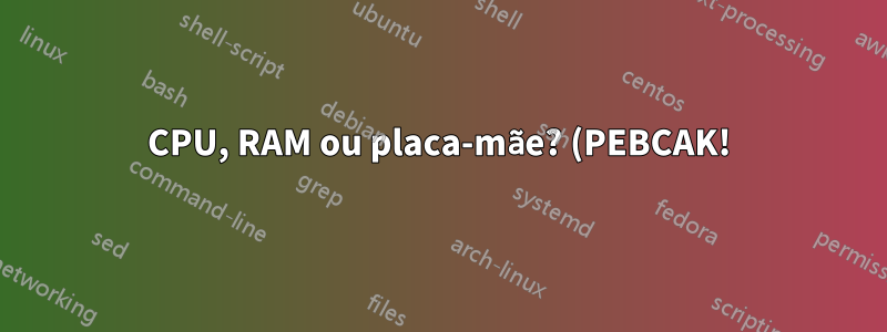 CPU, RAM ou placa-mãe? (PEBCAK!)
