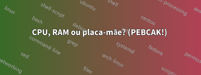 CPU, RAM ou placa-mãe? (PEBCAK!)