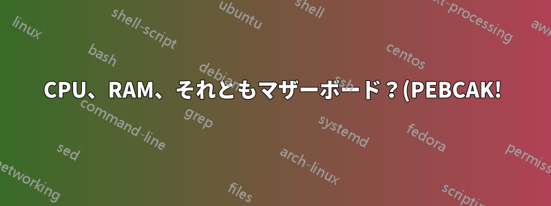 CPU、RAM、それともマザーボード?(PEBCAK!)