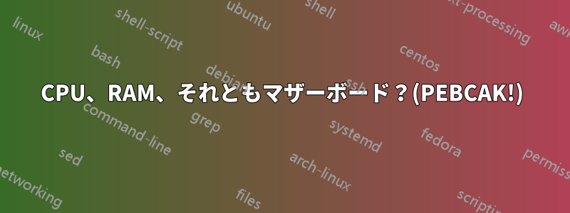 CPU、RAM、それともマザーボード？(PEBCAK!)