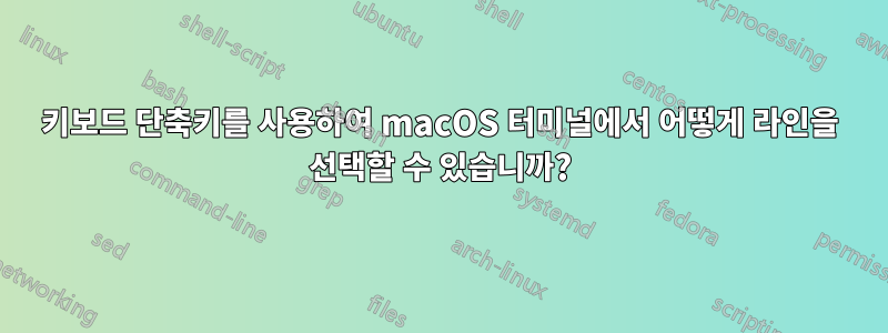 키보드 단축키를 사용하여 macOS 터미널에서 어떻게 라인을 선택할 수 있습니까?