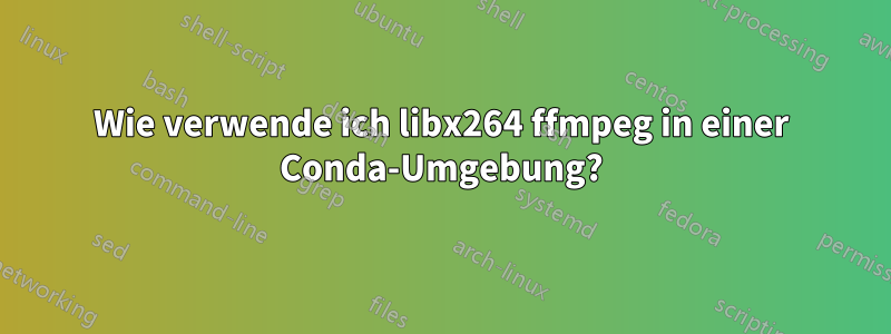 Wie verwende ich libx264 ffmpeg in einer Conda-Umgebung?