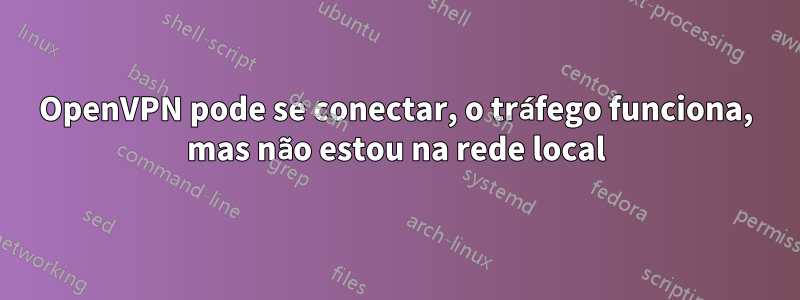 OpenVPN pode se conectar, o tráfego funciona, mas não estou na rede local