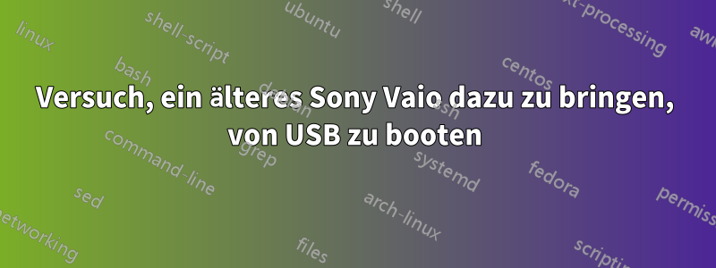 Versuch, ein älteres Sony Vaio dazu zu bringen, von USB zu booten