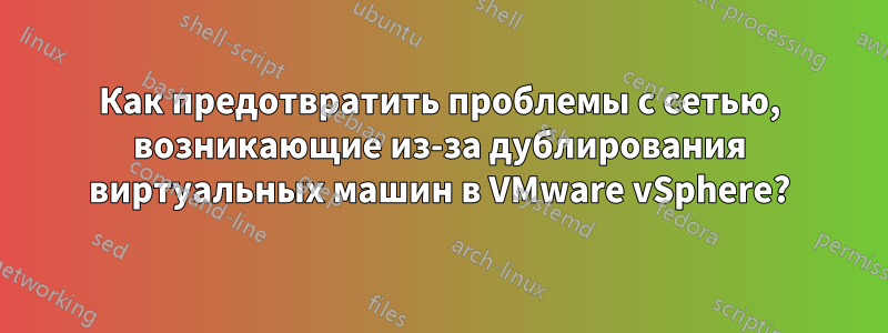 Как предотвратить проблемы с сетью, возникающие из-за дублирования виртуальных машин в VMware vSphere?