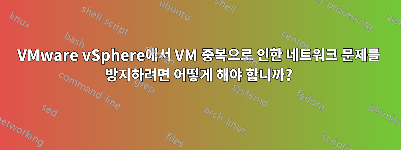 VMware vSphere에서 VM 중복으로 인한 네트워크 문제를 방지하려면 어떻게 해야 합니까?