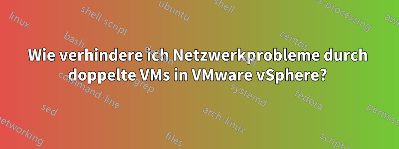 Wie verhindere ich Netzwerkprobleme durch doppelte VMs in VMware vSphere?