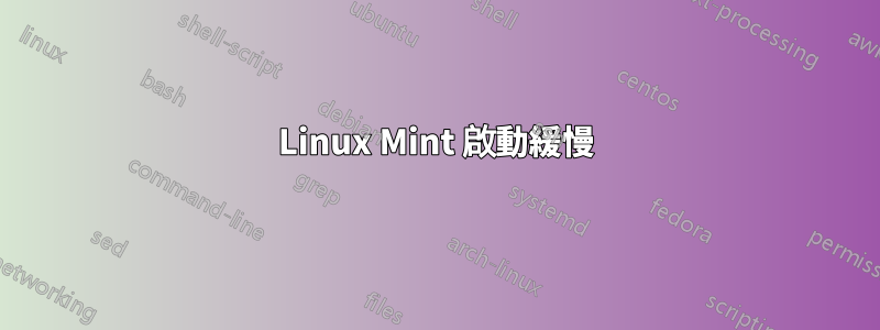 Linux Mint 啟動緩慢