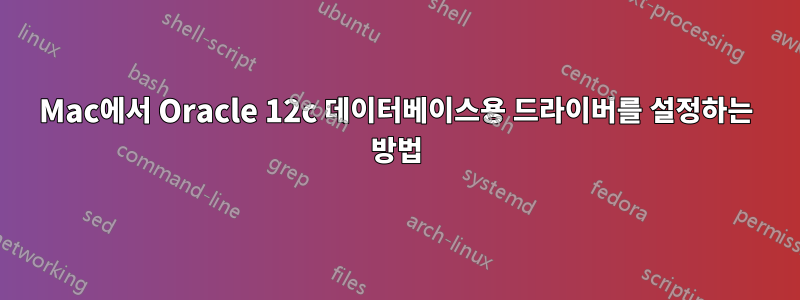 Mac에서 Oracle 12c 데이터베이스용 드라이버를 설정하는 방법