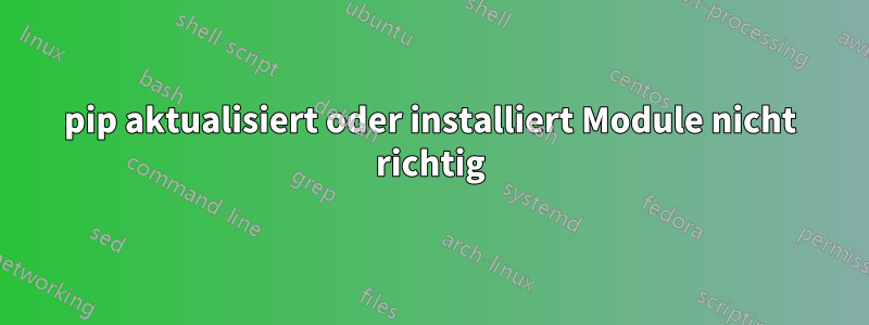 pip aktualisiert oder installiert Module nicht richtig