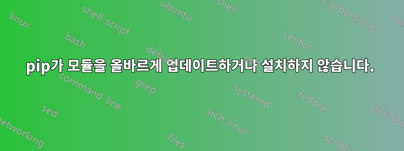 pip가 모듈을 올바르게 업데이트하거나 설치하지 않습니다.