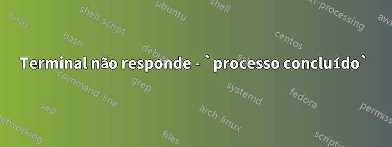 Terminal não responde - `processo concluído`