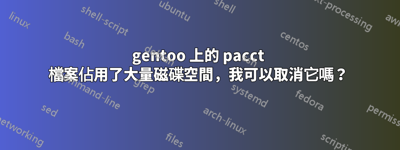 gentoo 上的 pacct 檔案佔用了大量磁碟空間，我可以取消它嗎？