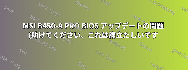 MSI B450-A PRO BIOS アップデートの問題 (助けてください、これは腹立たしいです)