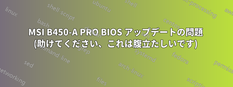 MSI B450-A PRO BIOS アップデートの問題 (助けてください、これは腹立たしいです)