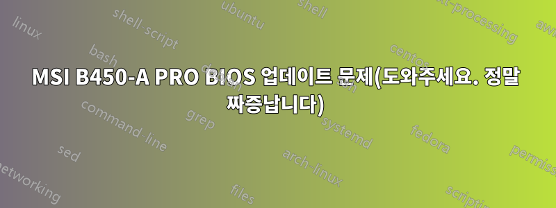 MSI B450-A PRO BIOS 업데이트 문제(도와주세요. 정말 짜증납니다)