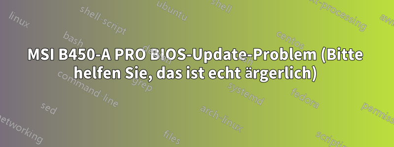 MSI B450-A PRO BIOS-Update-Problem (Bitte helfen Sie, das ist echt ärgerlich)