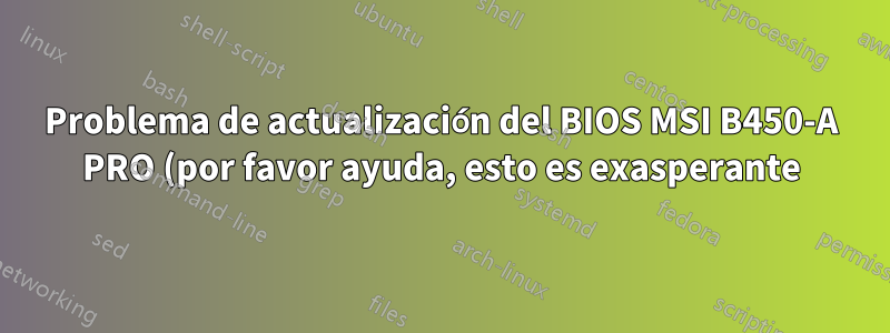 Problema de actualización del BIOS MSI B450-A PRO (por favor ayuda, esto es exasperante)