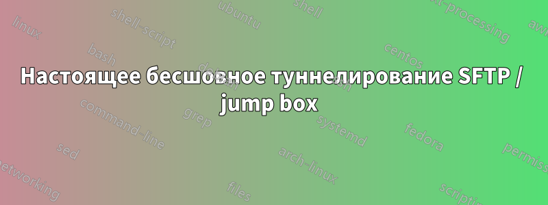 Настоящее бесшовное туннелирование SFTP / jump box 